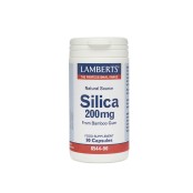 Lamberts Oξείδιο του Πυριτίου Silica 90caps