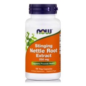 Now Stinging Nettle Root Extract 250 mg Συμπλήρωμα Διατροφής με Εκχύλισμα Τσουκνίδας 90caps