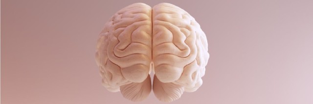 Quels sont les faits les plus époustouflants sur le cerveau humain?