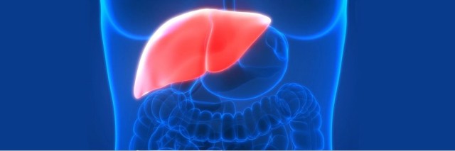 What tea is good for fatty liver?